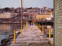 390. Sjørsjeteen.jpg