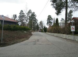 Skådalsveien Oslo 2015.jpg