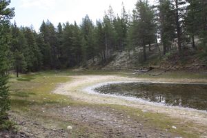 Skåpårtjønne sørenden.jpg