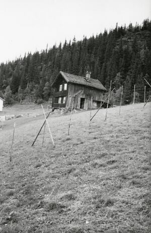 Skårberg Nordre, Telemark - Riksantikvaren-T168 01 0226.jpg