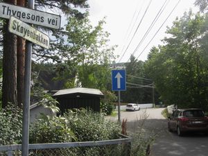 Skøyenbakken Oslo august 2014.jpg