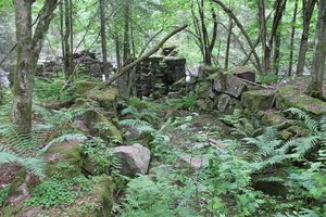 Skar sag 2016 06.JPG