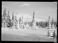 31. Skeikampen - no-nb digifoto 20150205 00049 NB MIT FNR 15654.jpg