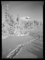 23. Skeikampen - no-nb digifoto 20150205 00069 NB MIT FNR 15660 B.jpg