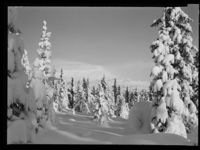 16. Skeikampen - no-nb digifoto 20150205 00070 NB MIT FNR 15657.jpg