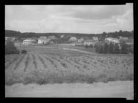 262. Ski - no-nb digifoto 20160303 00074 NB MIT FNR 07232.jpg