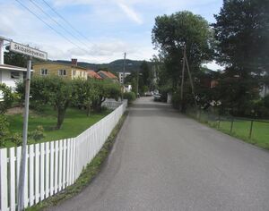 Skibakkeveien Oslo 2014.jpg