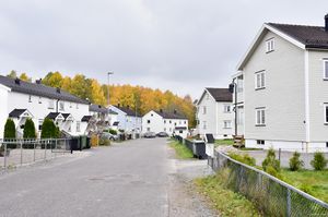 Skien, Baugeids gate-1.jpg