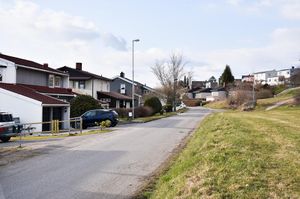 Skien, Falkum Ring-1.jpg