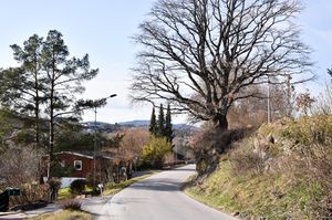 Skien, Falkumlia-1.jpg