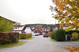 Skien, Fartangen-1.jpg