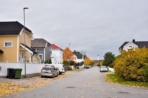 Skien, Fossumgata-1.jpg