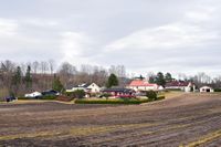 Bebyggelse på Fossumhaugen. Foto: Roy Olsen (2019).