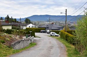 Skien, Furuskogen-1.jpg