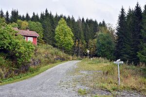 Skien, Grønnkollvegen-1.jpg