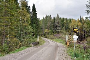 Skien, Grønnsjøvegen-1.jpg