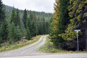 Skien, Grantjernvegen-1.jpg