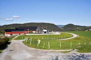 Skien, Hanesvegen-1.jpg