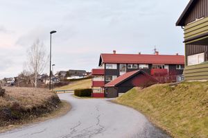 Skien, Haugslia-1.jpg