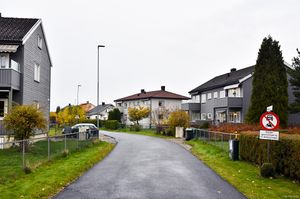 Skien, Herkulesgata-1.jpg