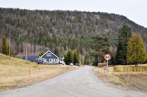 Skien, Holtanvegen-1.jpg