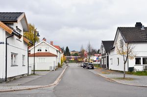 Skien, Ivar Aasens gate-1.jpg