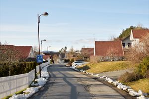 Skien, Langårdvegen-1.jpg