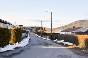 Skien, Limihøgda-1.jpg