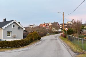 Skien, Meensvegen-1.jpg