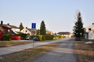 Skien, Moflatvegen-1.jpg