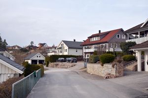 Skien, Nedre Gyltemyr-1.jpg