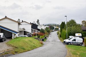 Skien, Røyskattvegen-1.jpg