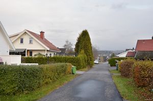 Skien, Signalvegen-1.jpg