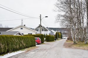 Skien, Skogmodelet-1.jpg