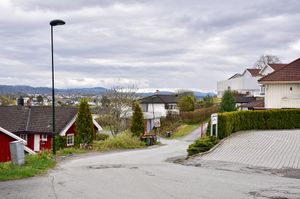 Skien, Strømdallia-1.jpg