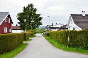 Skien, Tappenstreken-1.jpg