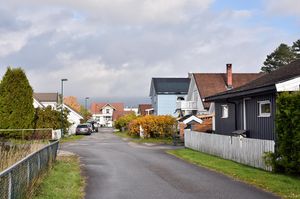 Skien, Travgata-1.jpg