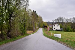 Skien, Tuftevegen-1.jpg