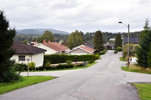 Skien, Varpedelet-1.jpg