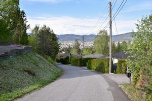 Skien, Vindalslia-1.jpg