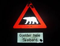 Varselskilt for isbjørn, Svalbard. Foto: Elin Olsen