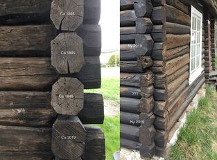 Stokkene fra kjøkkendelen av bygget ble dater ca 1845. Andre stokker er eldre og har flyttemerker. (Foto: Amund Kjellstad)