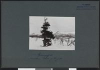 25. Skjæringsfjeld mellem Atna og Ringebu - no-nb digifoto 20160317 00213 bldsa NGU0084.jpg