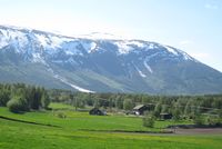 14. Skjaak Arnestugu.jpg