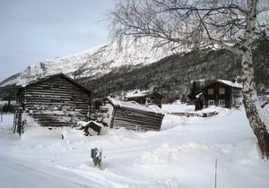 Skjaak Kolstad des2012.jpg