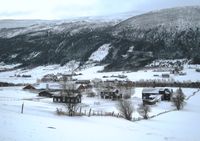 85. Skjaak Traastad 2012.jpg