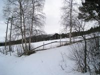 66. Skjaak des 2012 S Mork.jpg