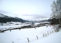 47. Skjaak fra Skrinde vinter.jpg