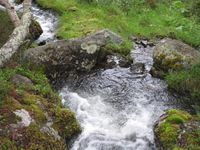 5. Skjaak vassveg 2011 c.jpg