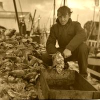 På kaia til fiskemottaket er det lokale ungdomar som møter opp å skjer torsketunger, - delikatesse.